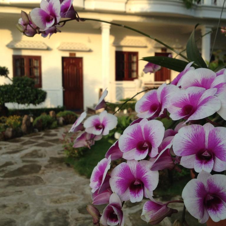 Suncosy Central Hotel Phú Quốc Exterior foto